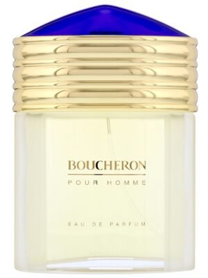 Boucheron, Boucheron, Eau De Toilette, For Men, 100 ml