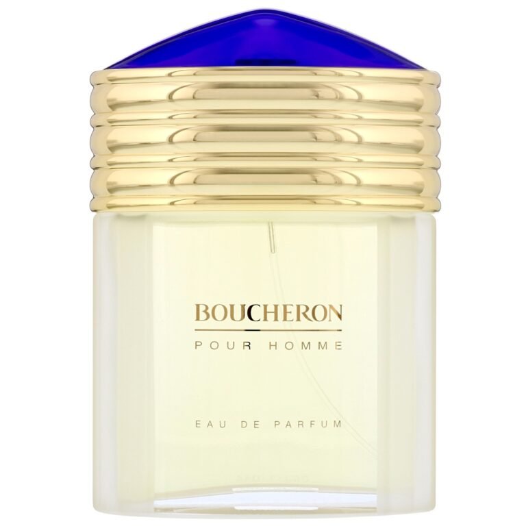 boucheron-boucheron-eau-de-toilette-for-men-100-ml-1670946112-5