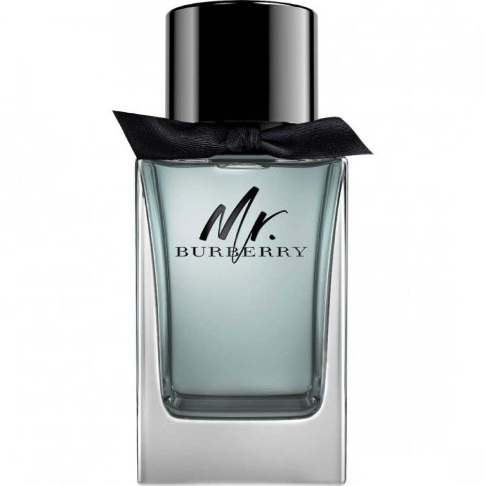 burberry-mr-burberry-eau-de-toilette-for-men-100-ml-1673193284