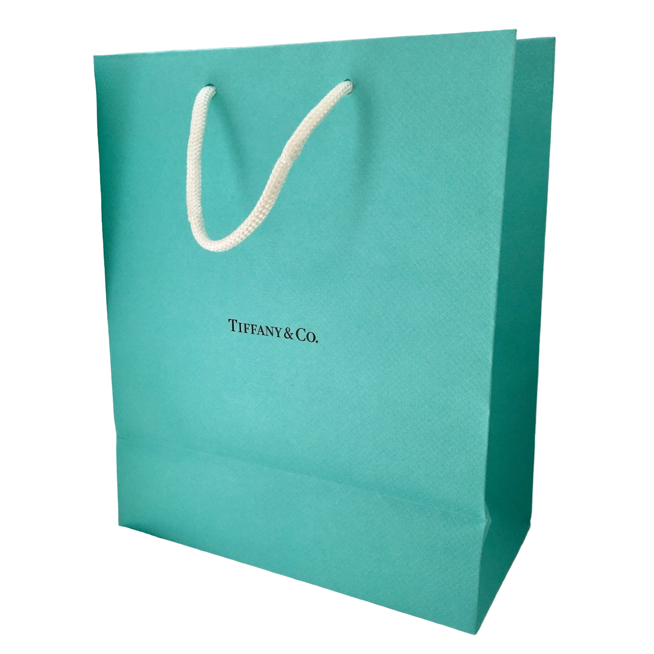 tiffany-co-tiffany-co-large-paper-green-1678347281