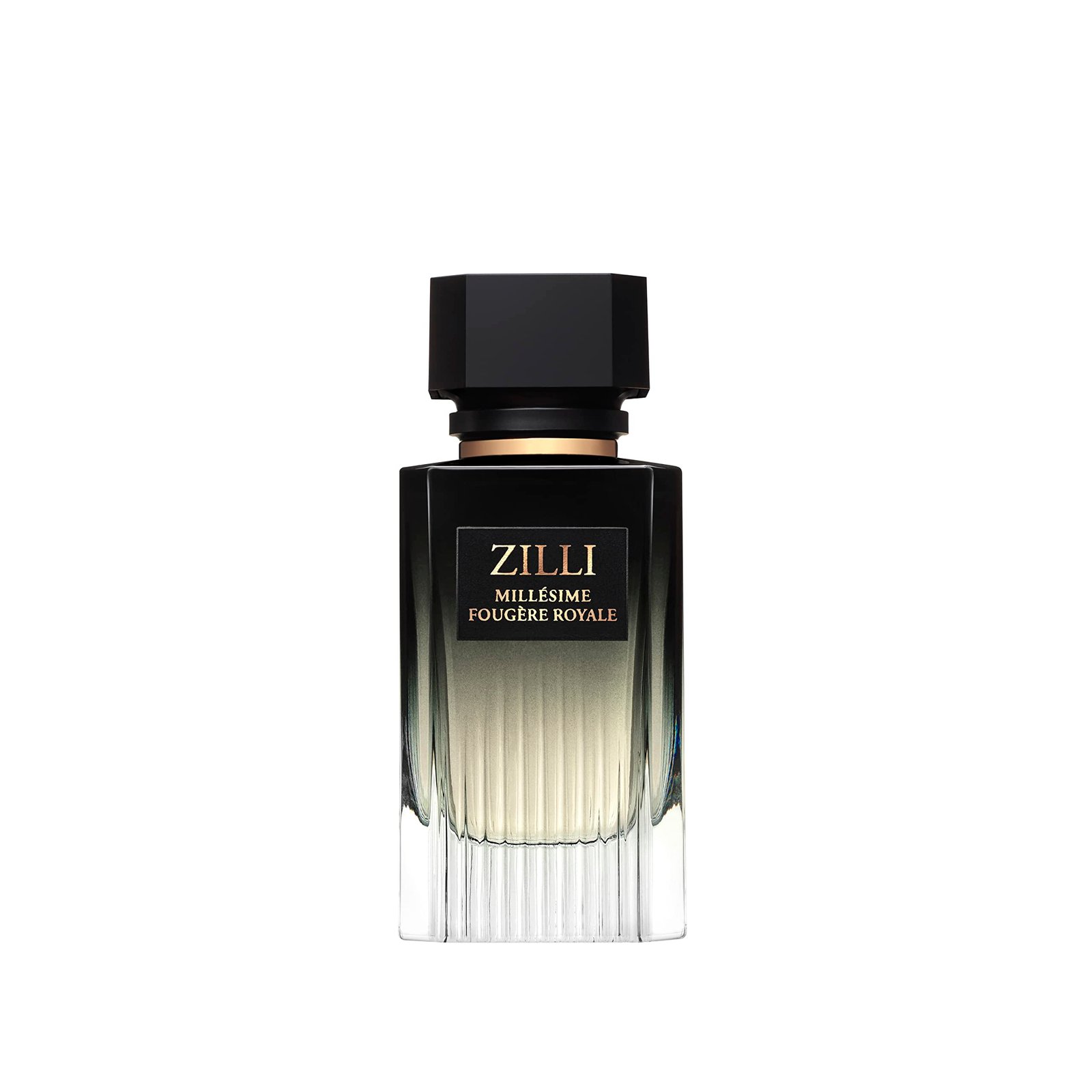 zilli-fougere-royale-eau-de-parfum-for-men-100-ml-1744458690